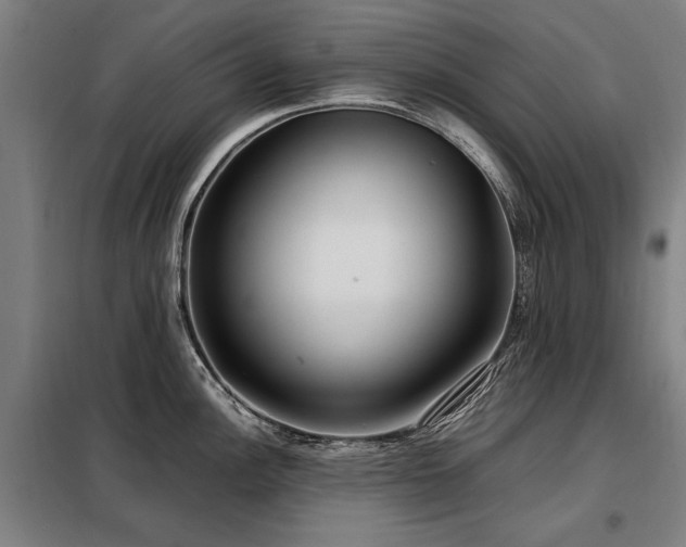X0000098121148200804041402