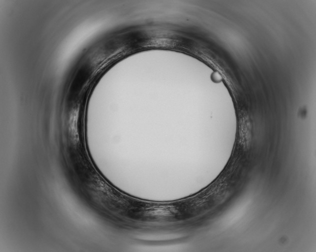 X0000098121150200804041402