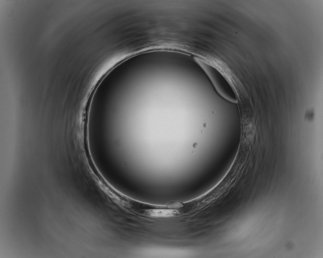 X0000098121151200804041402