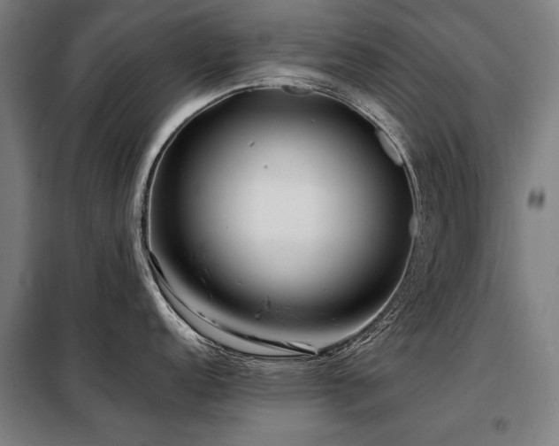 X0000098121152200804041402