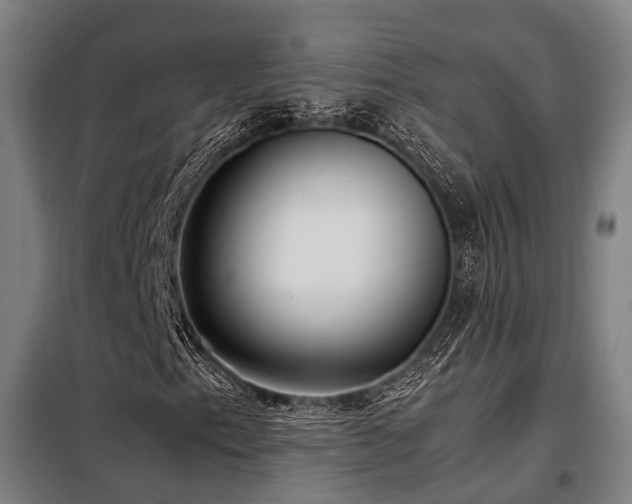 X0000098121153200804041401
