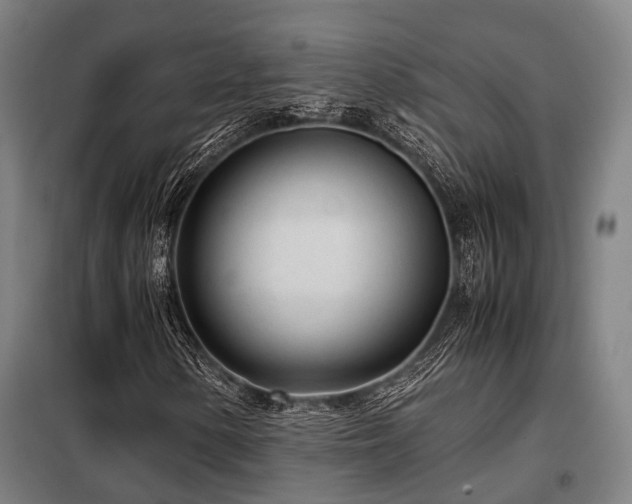 X0000098121154200804041401