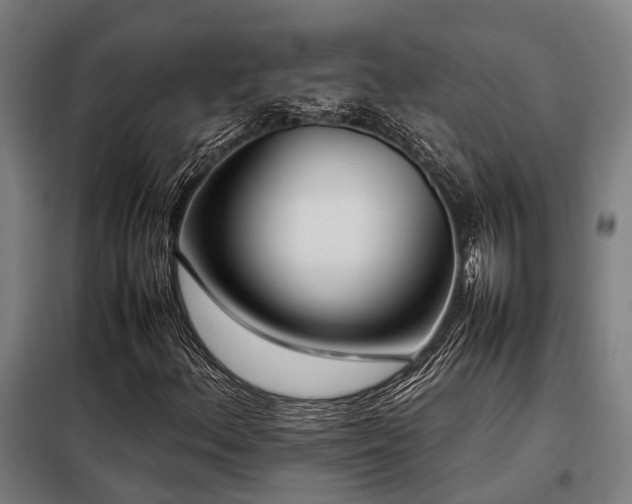 X0000098121156200804041401