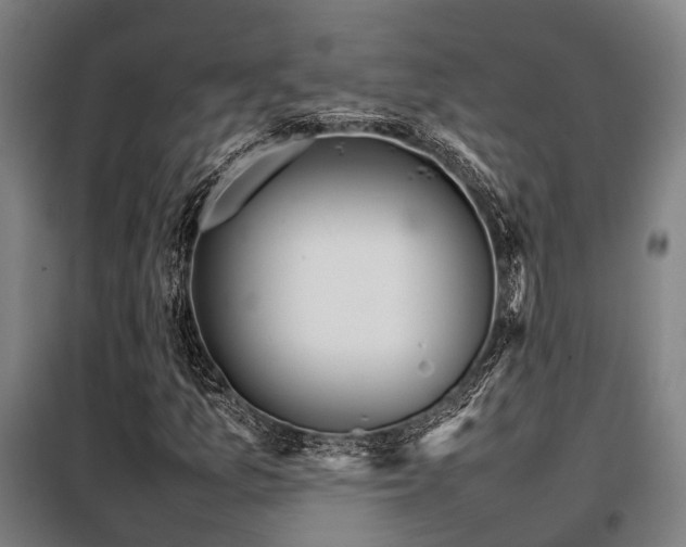 X0000098121157200804041401