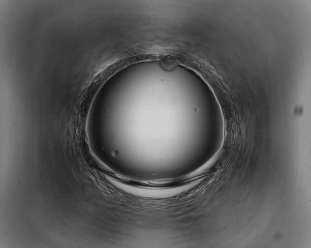 X0000098121158200804041401