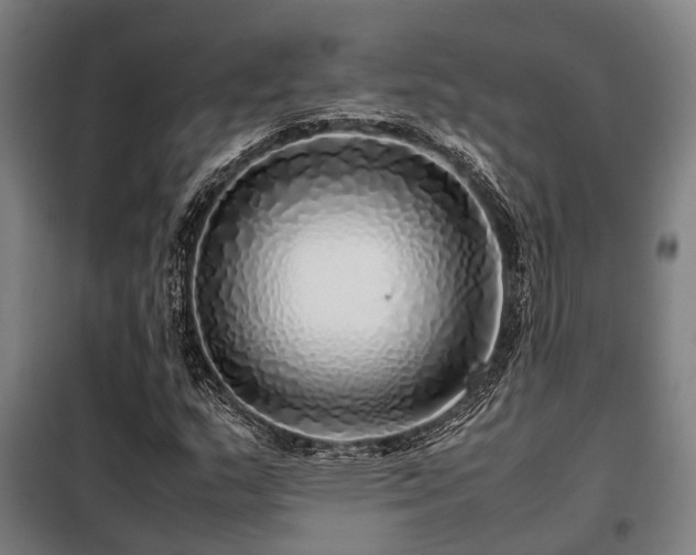 X0000098121159200804041401