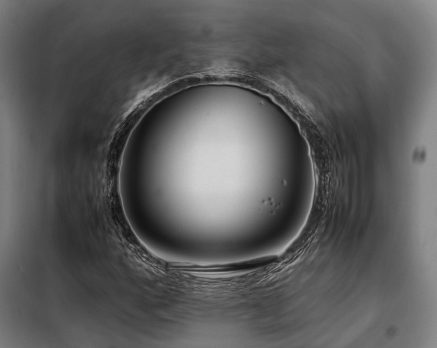 X0000098121160200804041401