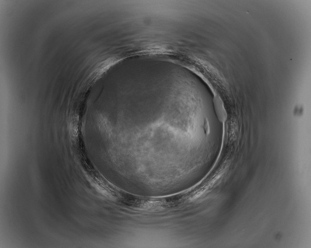 X0000098121161200804041401
