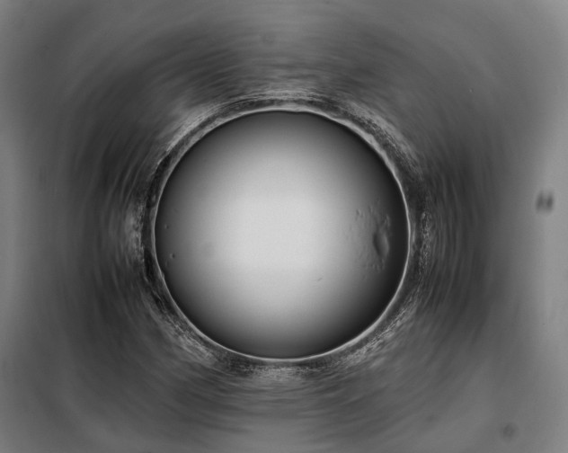 X0000098121162200804041401