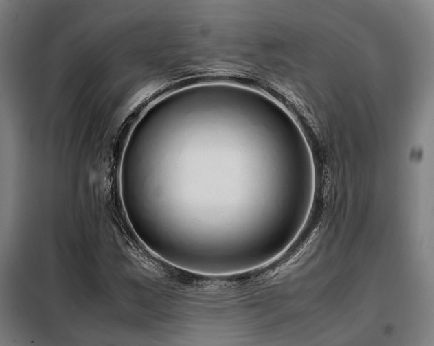 X0000098121163200804041401
