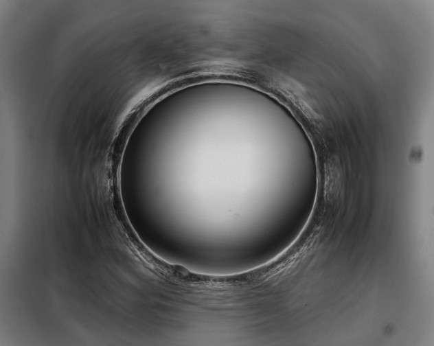 X0000098121164200804041401