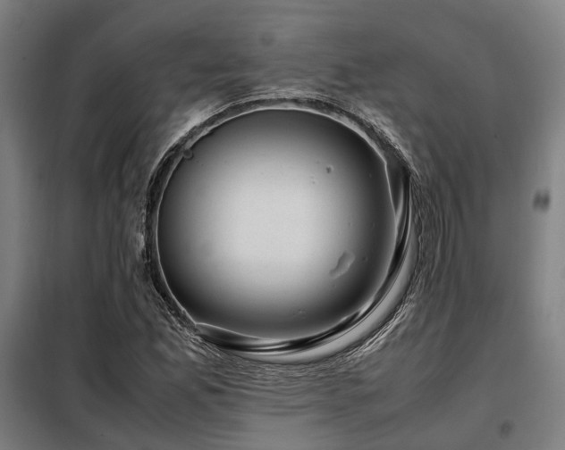 X0000098121165200804041401