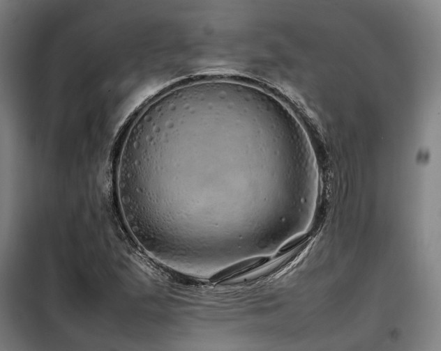 X0000098121167200804041401
