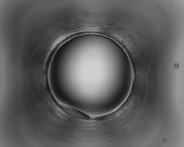 X0000098121168200804041401
