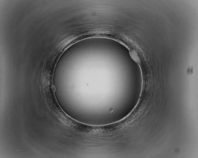X0000098121169200804041401
