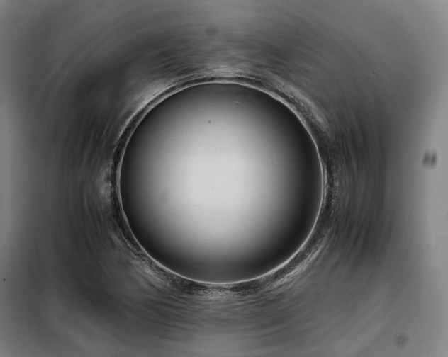 X0000098121170200804041401