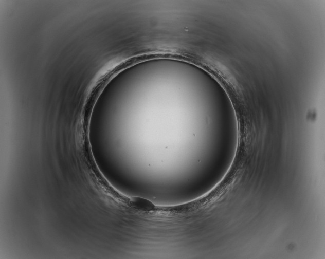 X0000098121172200804041401