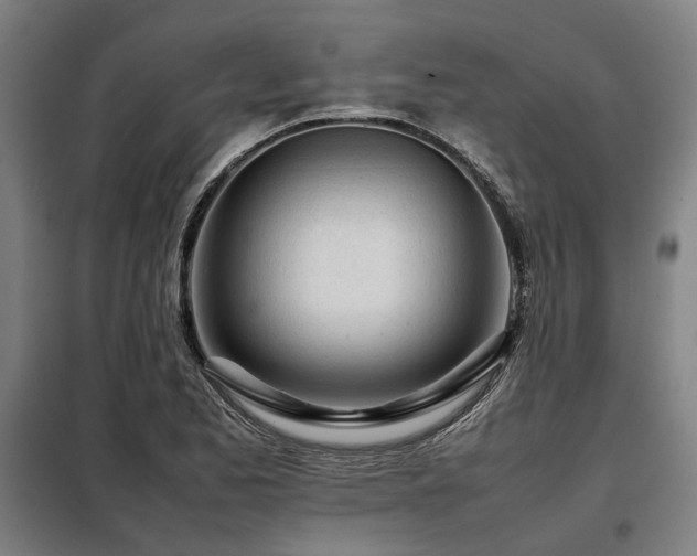 X0000098121173200804041401
