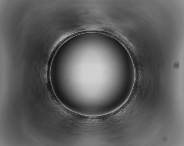 X0000098121174200804041401