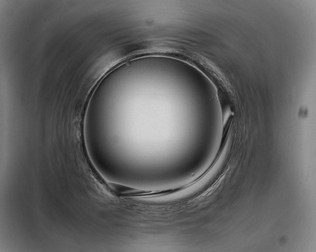 X0000098121177200804041401