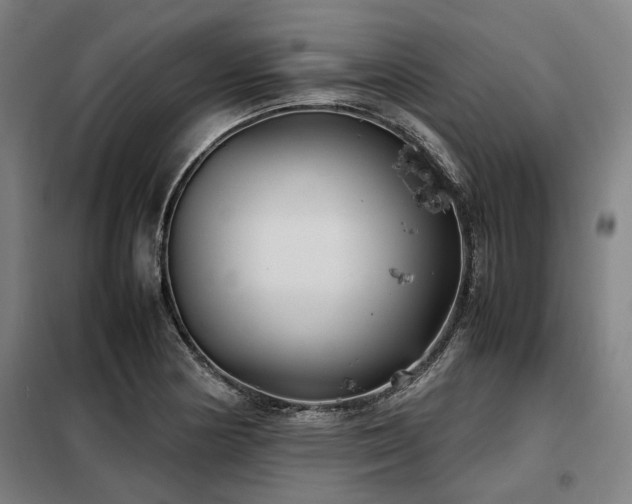 X0000098121178200804041401