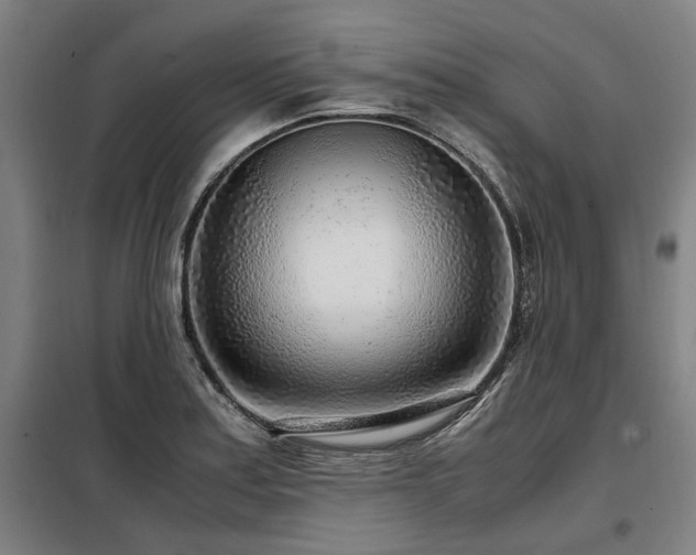 X0000098121179200804041401