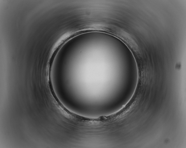 X0000098121180200804041401