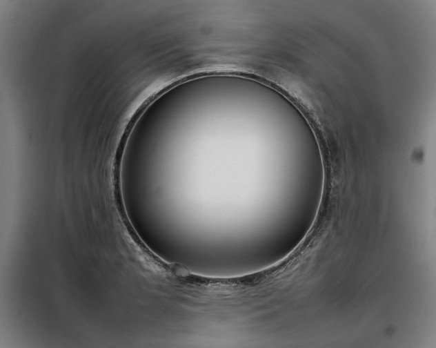 X0000098121181200804041401