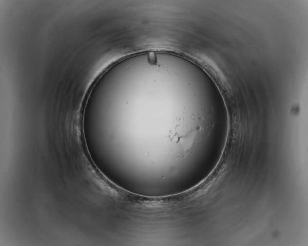 X0000098121182200804041401