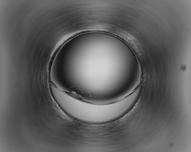 X0000098121184200804041401