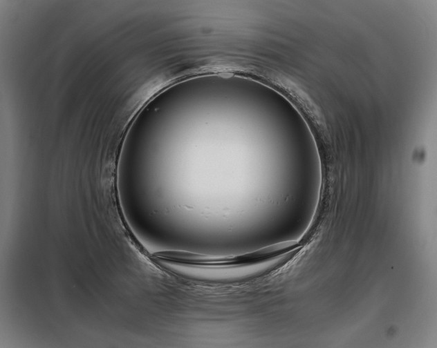 X0000098121185200804041401