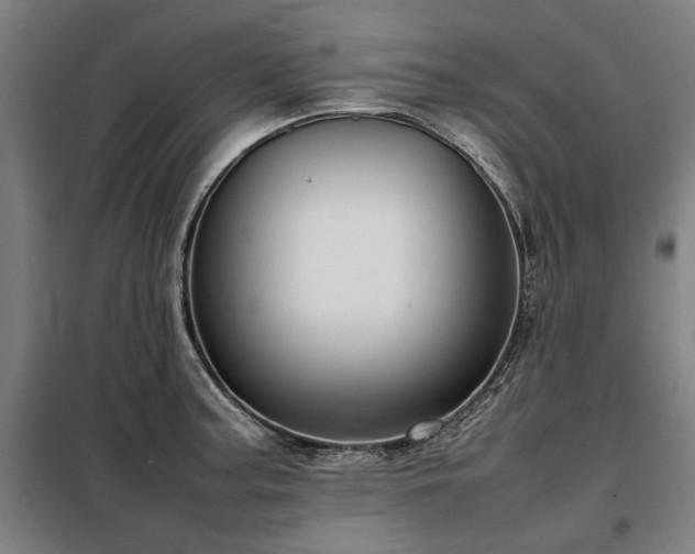 X0000098121187200804041401
