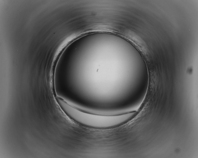 X0000098121188200804041401