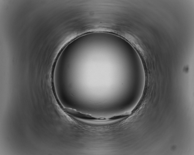 X0000098121189200804041401