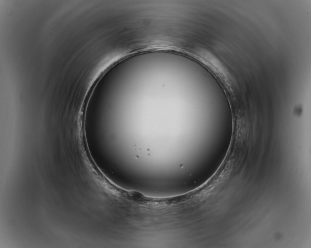 X0000098121190200804041401