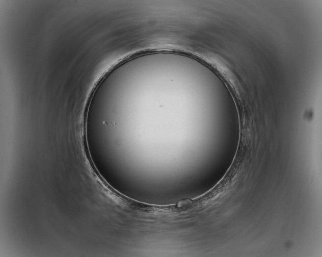 X0000098121191200804041401