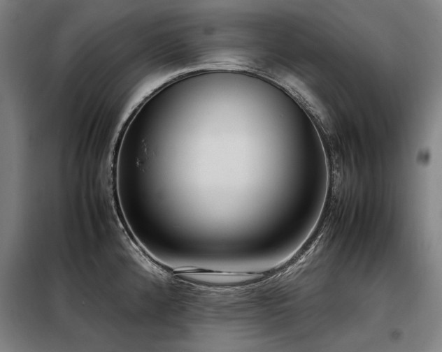 X0000098121192200804041401
