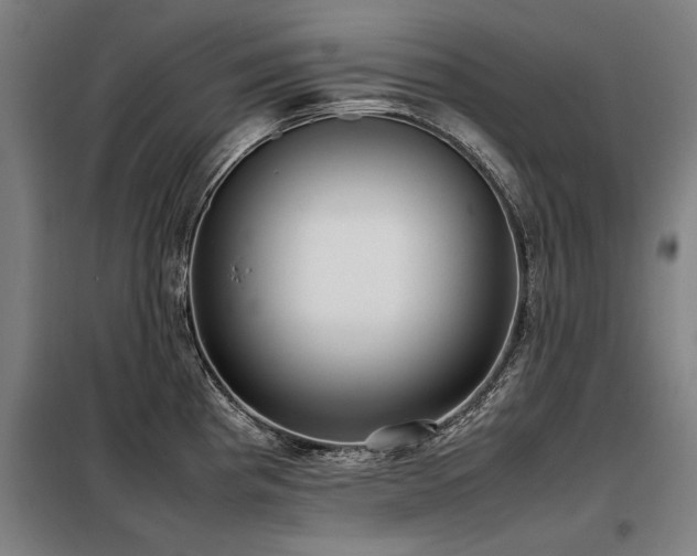 X0000098121193200804041401