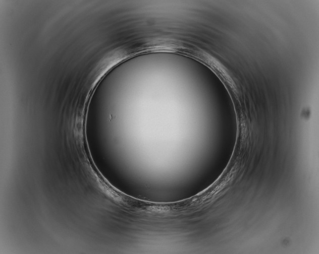 X0000098121194200804041401