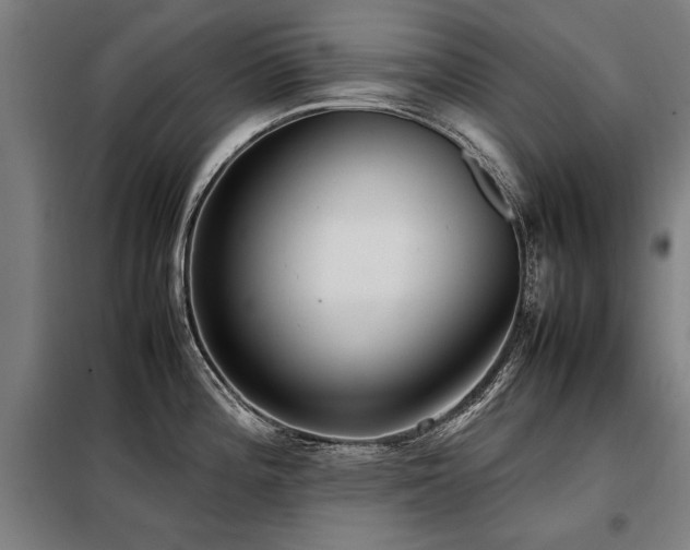 X0000098121196200804041401