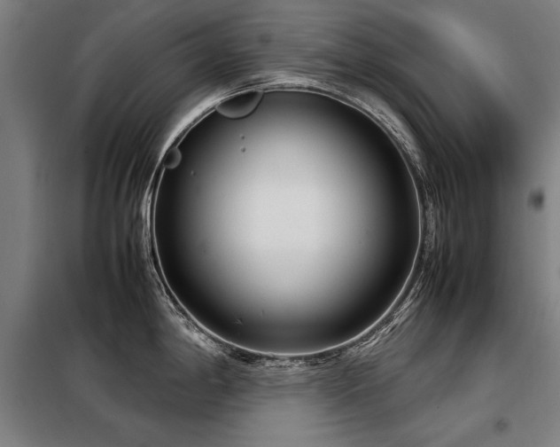 X0000098121198200804041401