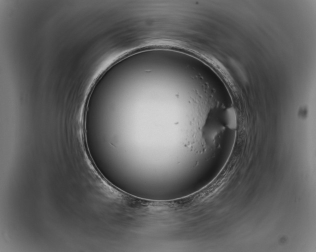 X0000098121199200804041401