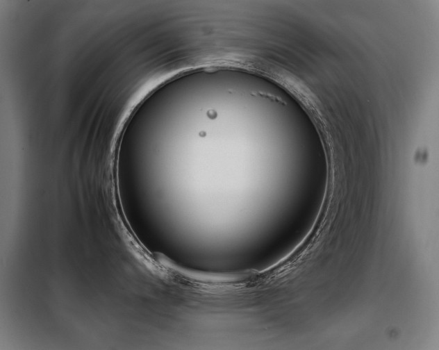 X0000098121200200804041401