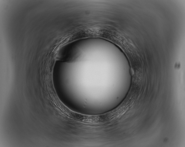 X0000098121201200804041400