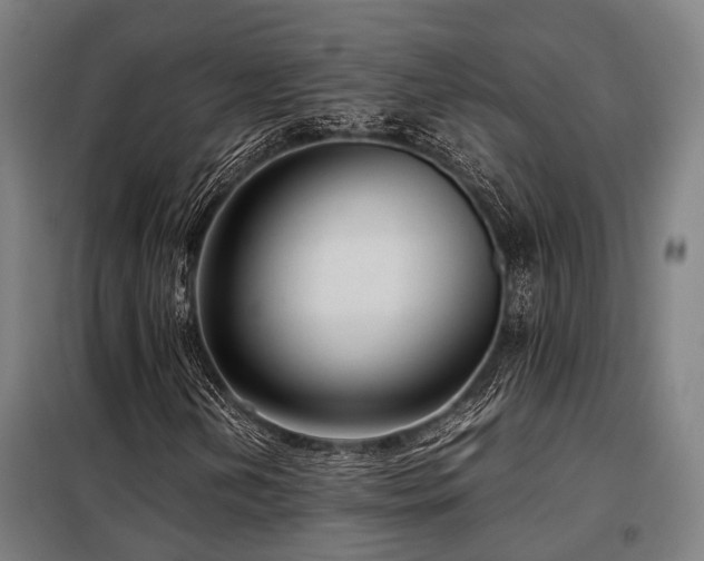 X0000098121202200804041400