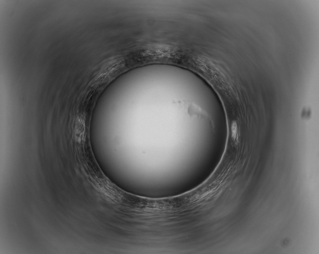 X0000098121203200804041400