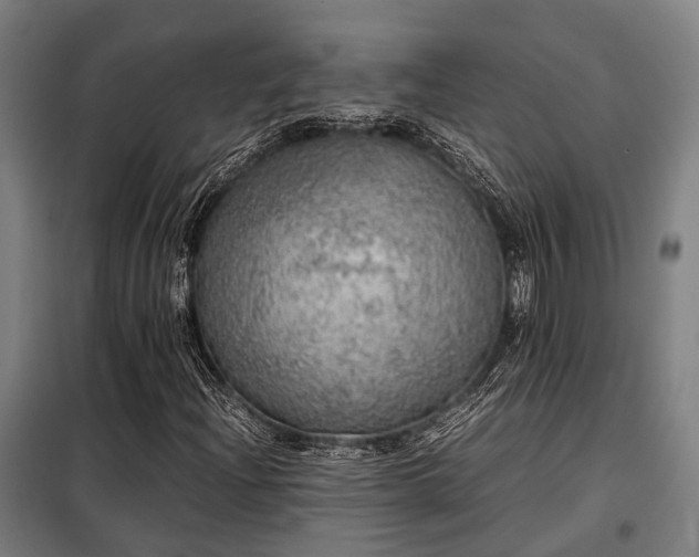 X0000098121204200804041400