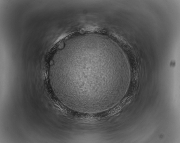 X0000098121206200804041400