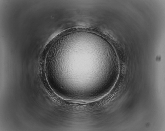 X0000098121208200804041400