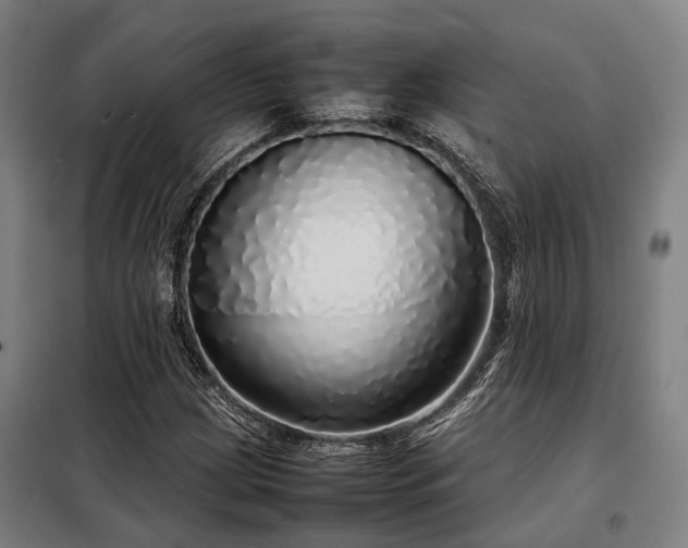 X0000098121209200804041400